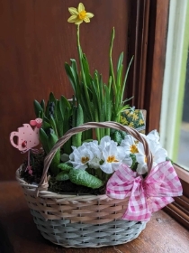 Planted Basket